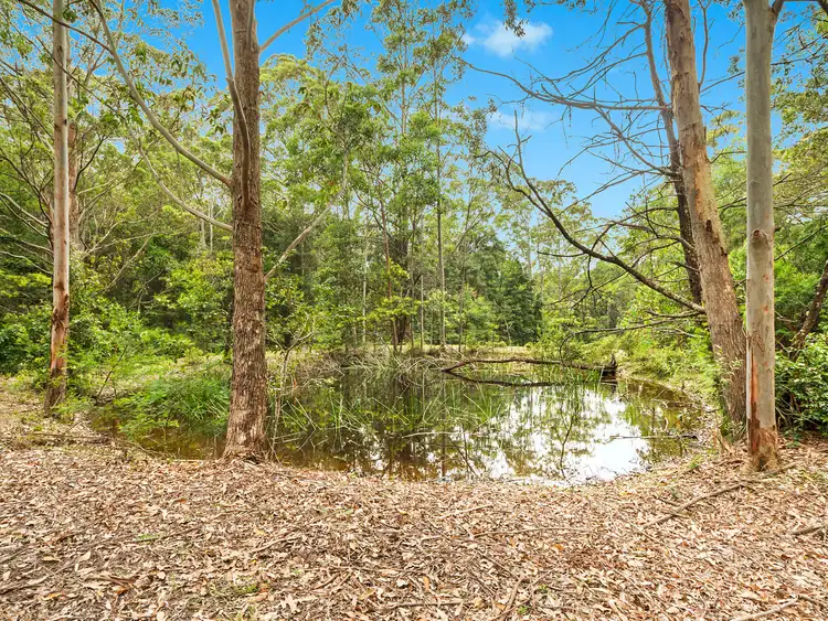 Third view of Homely land listing, Lot 200 and 225 Bugong Fire Trail, Kangaroo Valley NSW 2577