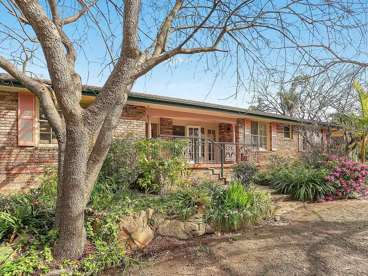 52 Cook Street, Forestville NSW 2087
