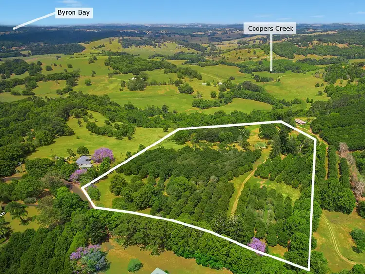 Main view of Homely house listing, 130 Rosebank Road, Rosebank NSW 2480