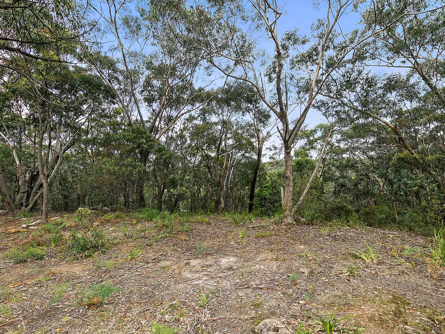 Main view of Homely land listing, 131 Boronia Road, Bullaburra NSW 2784