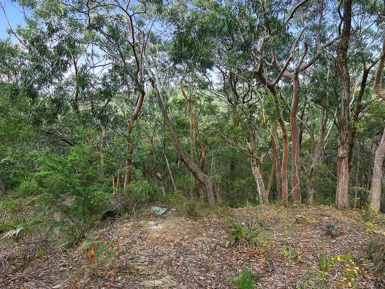 Third view of Homely land listing, 131 Boronia Road, Bullaburra NSW 2784