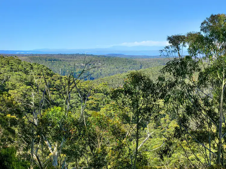 Third view of Homely house listing, 19 Rozelle Street, Wentworth Falls NSW 2782