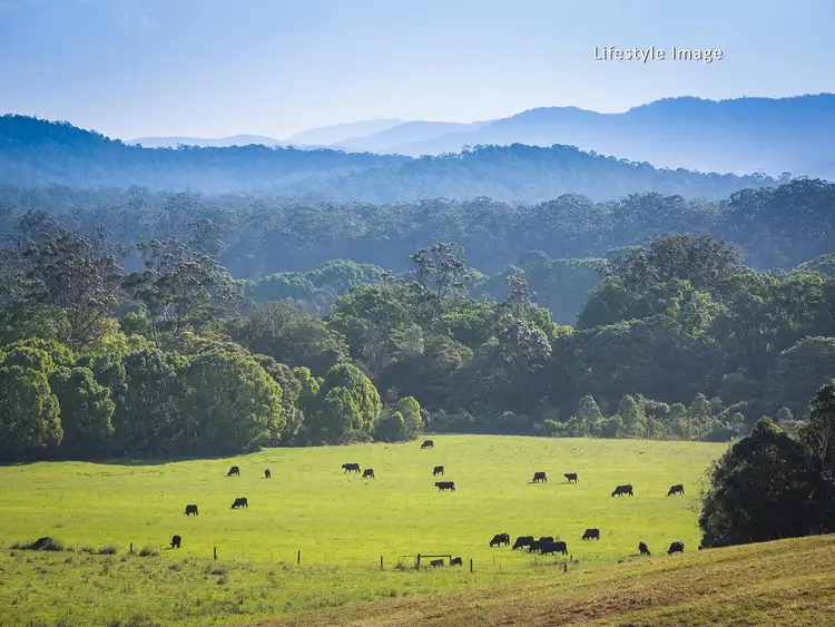 Second view of Homely house listing, 40 Deans Road, Boambee NSW 2450