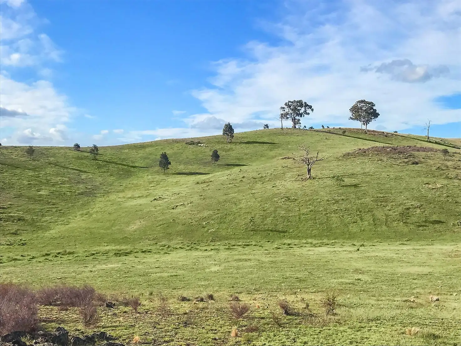 Main view of Homely land listing, 19 Barking Owl Place, Gundaroo NSW 2620