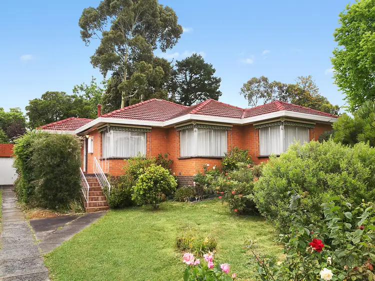 Main view of Homely house listing, 21 Bermuda Drive, Blackburn South VIC 3130