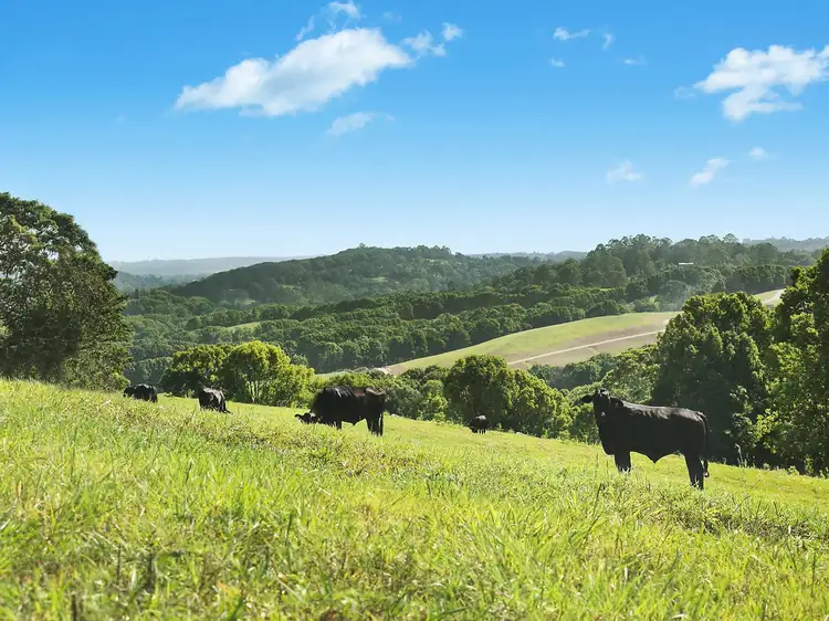 Fourth view of Homely land listing, Proposed Lot 9 Possum Creek Ridge, Bangalow NSW 2479