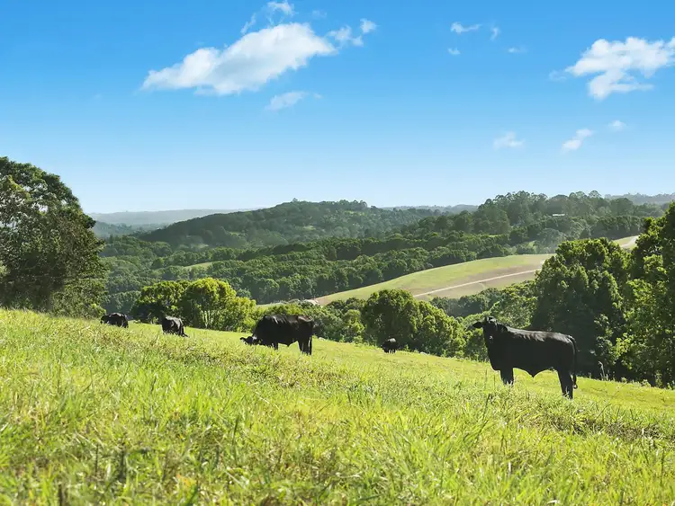 Fourth view of Homely land listing, Proposed Lot 10 Possum Creek Ridge, Bangalow NSW 2479