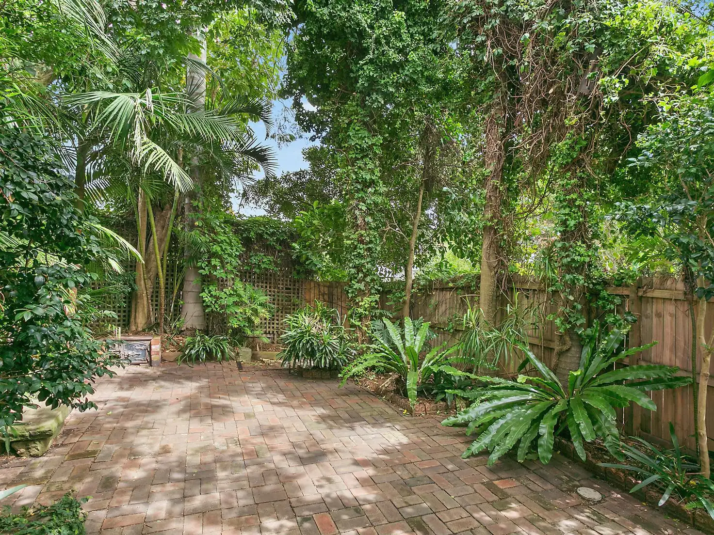 Main view of Homely house listing, 16 Cook Street, Randwick NSW 2031