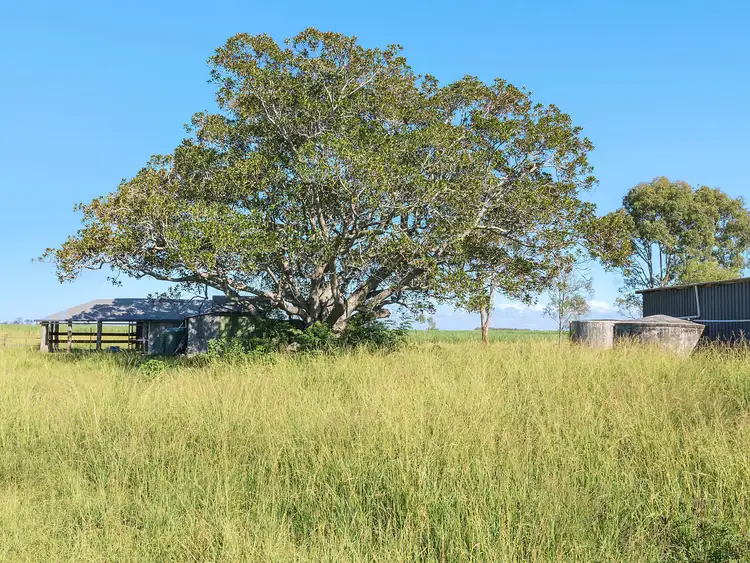 Fifth view of Homely rural property listing, 601 Kilgin Road, Kilgin NSW 2472
