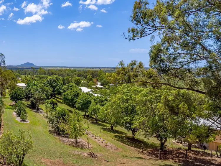 Third view of Homely house listing, 770-774 Diddillibah Road, Diddillibah QLD 4559