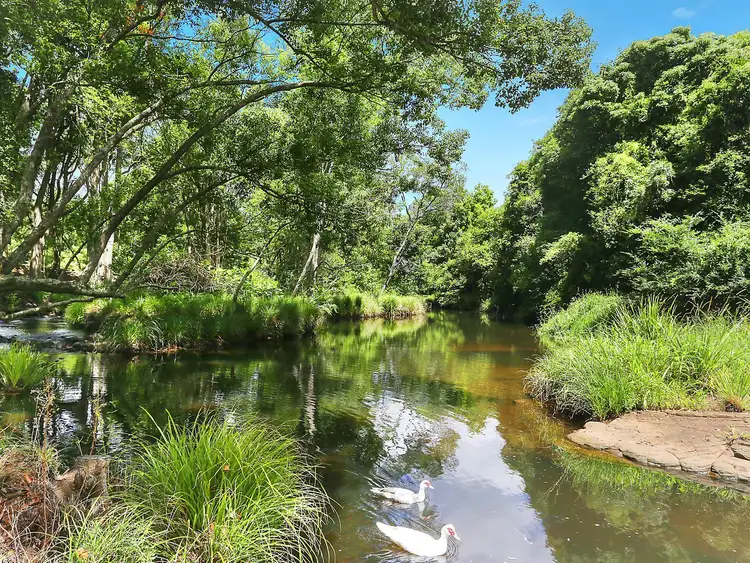 Sixth view of Homely house listing, 478 Tuntable Creek Road, The Channon NSW 2480