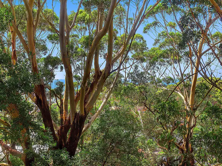 Sixth view of Homely house listing, 20 Cottee Crescent, Terrigal NSW 2260