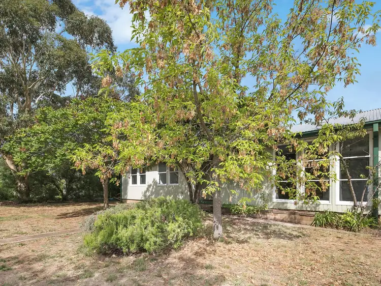 5 Coolibah Crescent, O'connor ACT 2602