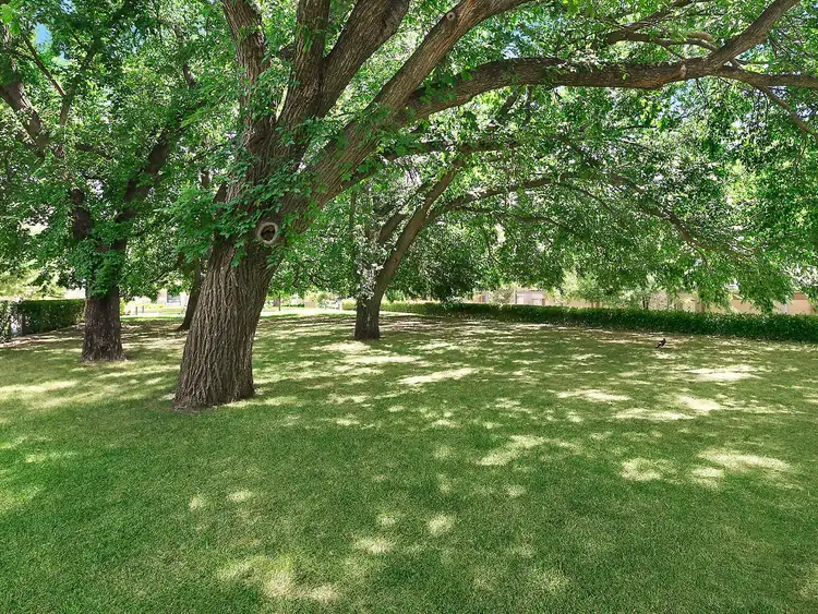 Fifth view of Homely townhouse listing, 25/50 Bluebell Street, O'connor ACT 2602