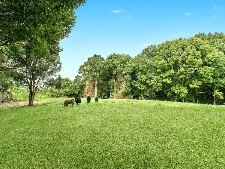 Second view of Homely rural property listing, 331 Binna Burra Road, Binna Burra NSW 2479