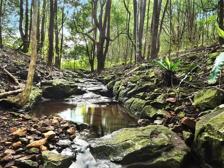 Third view of Homely rural property listing, 331 Binna Burra Road, Binna Burra NSW 2479