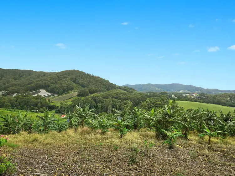 Sixth view of Homely rural property listing, 71-71A West Korora Road, Coffs Harbour NSW 2450