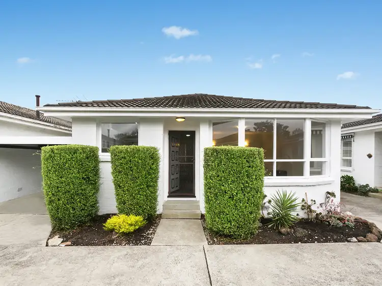 3/51 Middleborough Road, Burwood VIC 3125