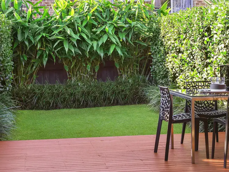 Fourth view of Homely house listing, 46 Holtermann Street, Crows Nest NSW 2065