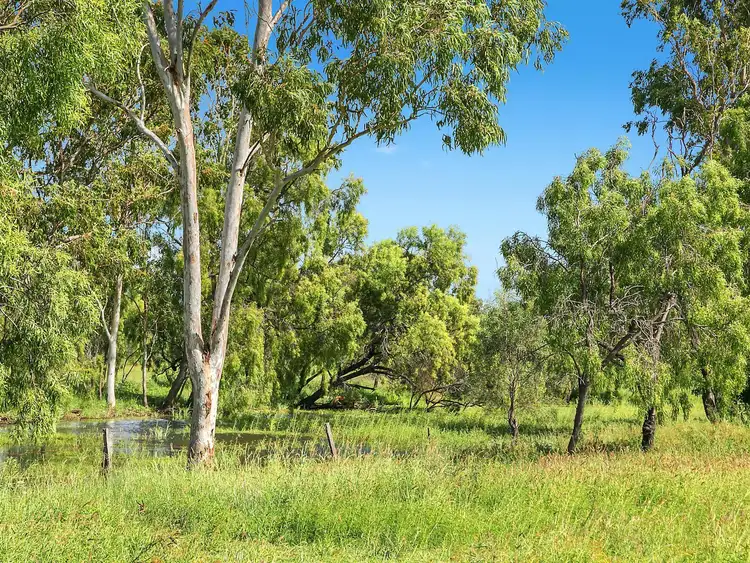 Fourth view of Homely rural property listing, 1382 Meissners Road, Thangool QLD 4716