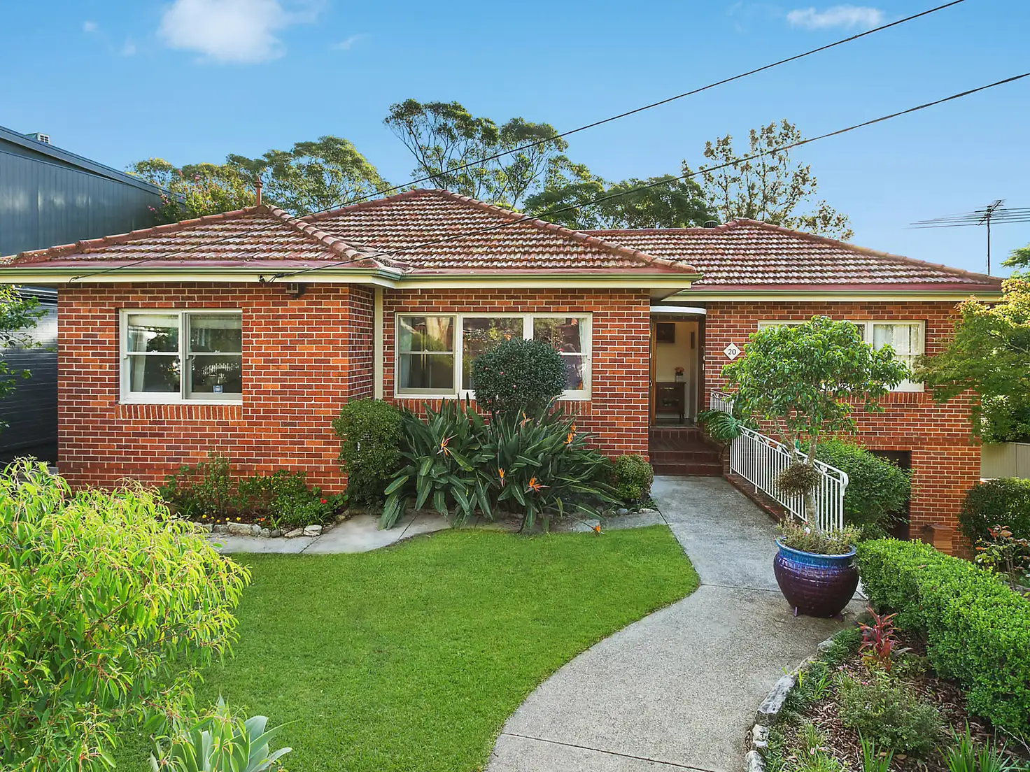 Main view of Homely house listing, 20 Bellevue Street, Chatswood NSW 2067