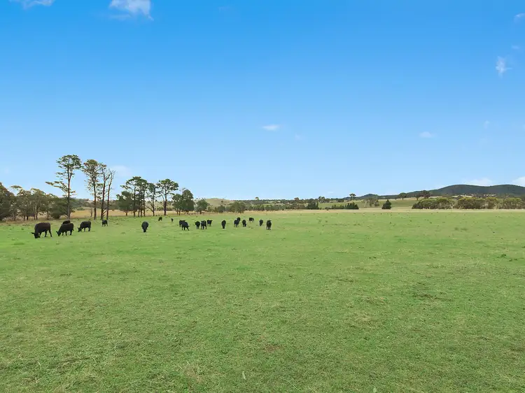 Second view of Homely house listing, 4659 Gundaroo Road, Gundaroo NSW 2620