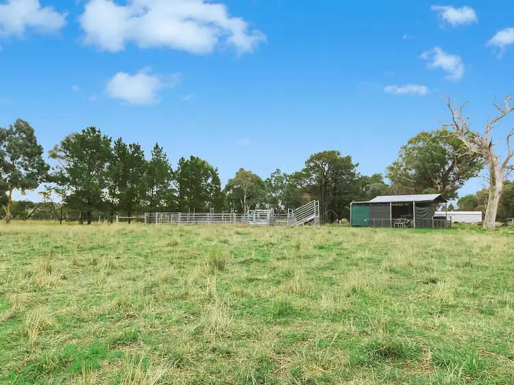 Fifth view of Homely house listing, 4659 Gundaroo Road, Gundaroo NSW 2620