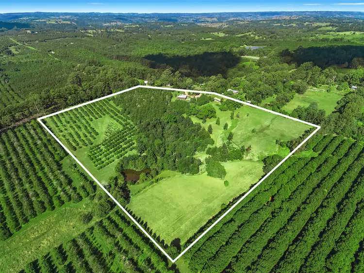 Main view of Homely house listing, 1675 Dunoon Road, Dunoon NSW 2480