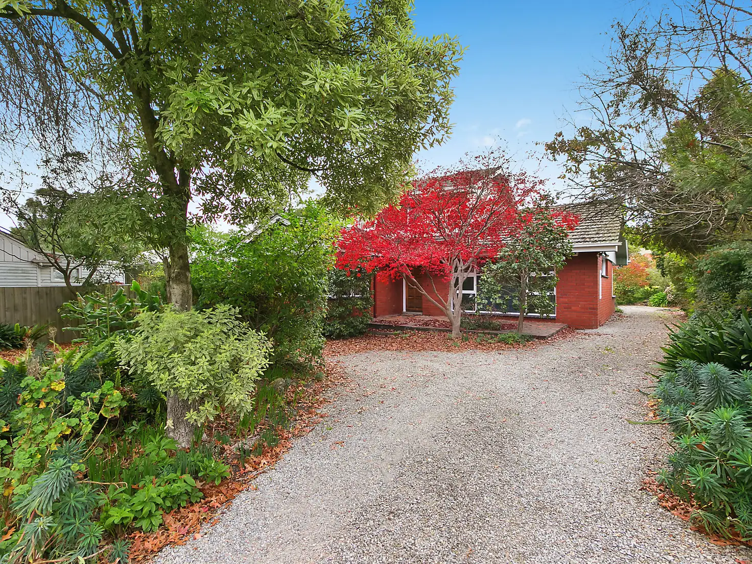 Main view of Homely house listing, 22 Hull Road, Croydon VIC 3136