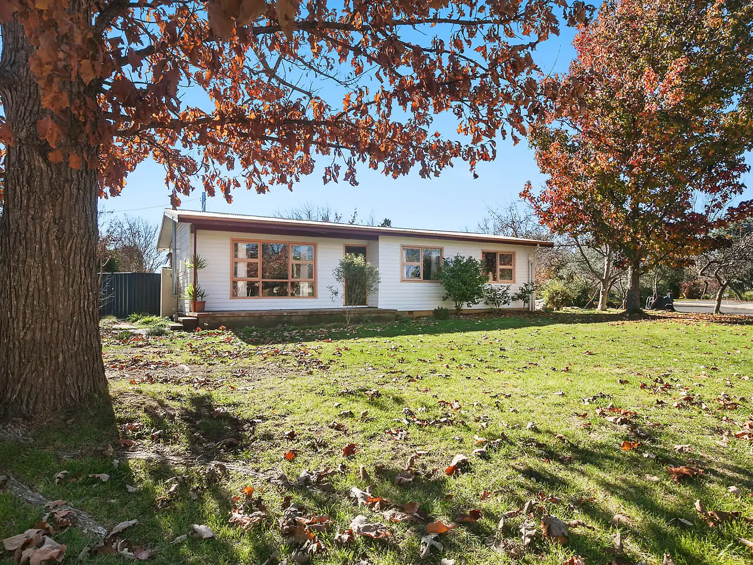 Main view of Homely house listing, 13 Cotton Street, Downer ACT 2602