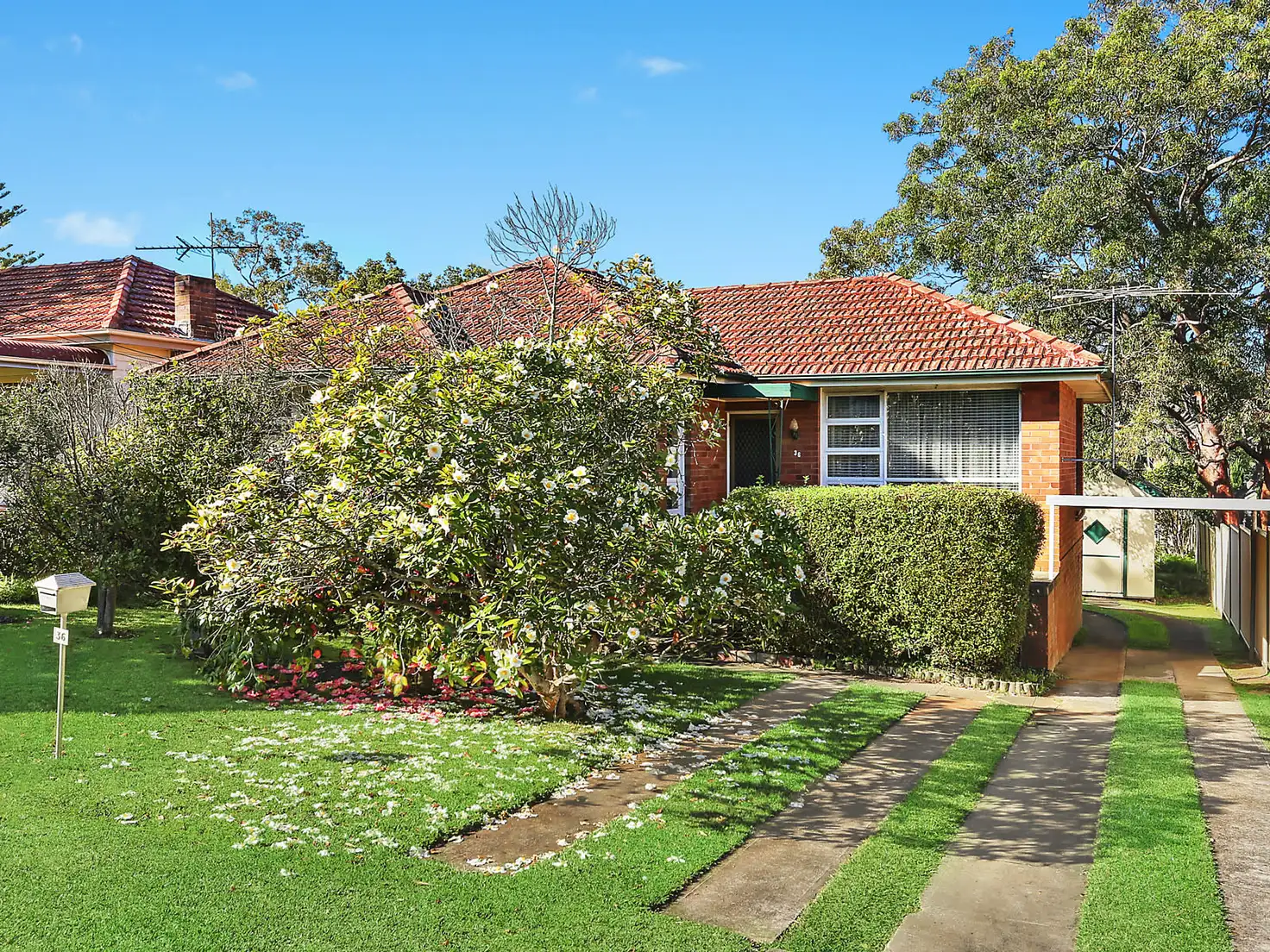 Main view of Homely house listing, 36 Curtis Avenue, Taren Point NSW 2229