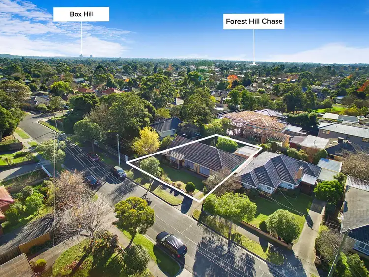 Sixth view of Homely house listing, 19 Victor Crescent, Forest Hill VIC 3131