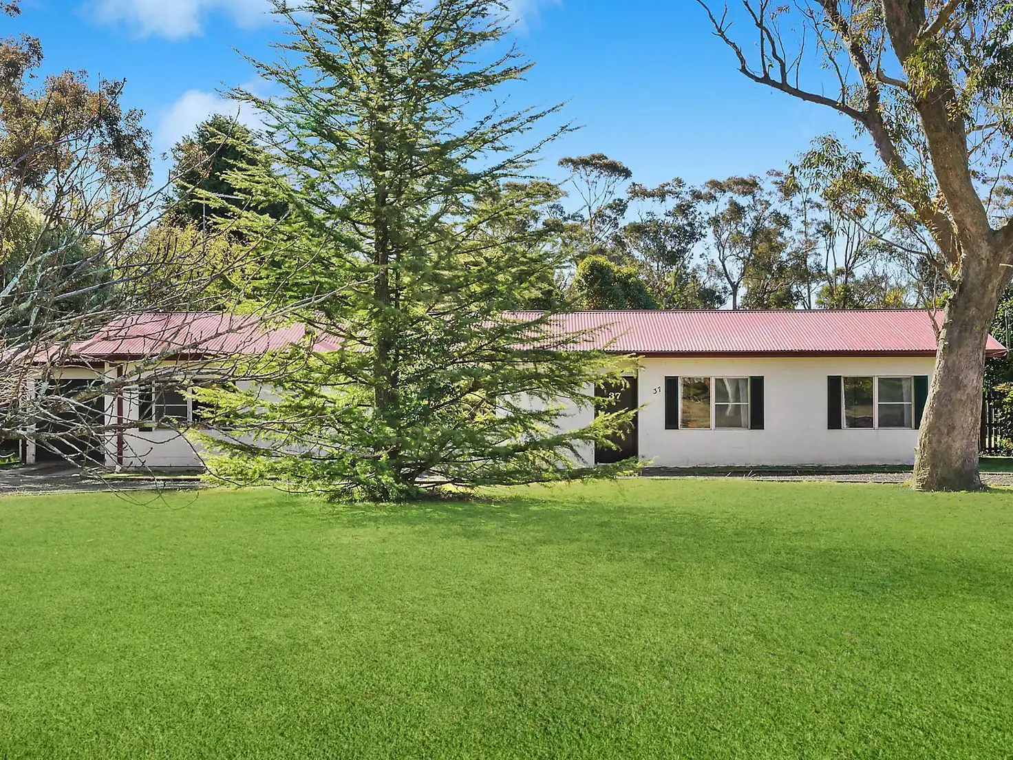 Main view of Homely house listing, 37 Pine Avenue, Wentworth Falls NSW 2782