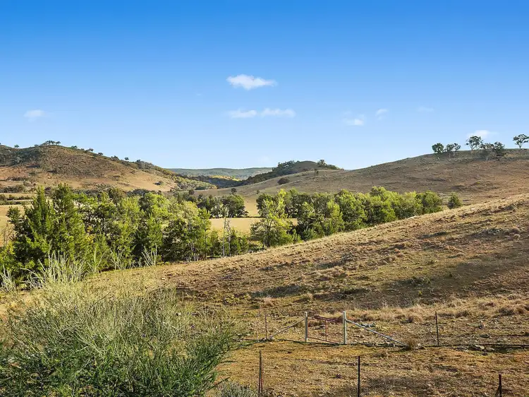 Seventh view of Homely rural property listing, 920 Windeyer Road, Mudgee NSW 2850
