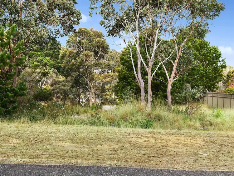 10 Kitchener Avenue, Wentworth Falls NSW 2782