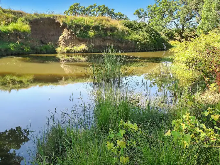 Second view of Homely rural property listing, 384 Uamby Road, Mudgee NSW 2850