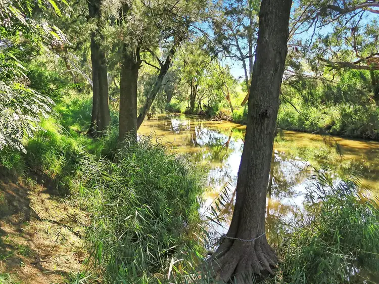 Fourth view of Homely rural property listing, 384 Uamby Road, Mudgee NSW 2850