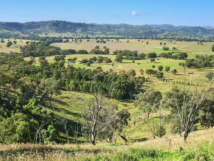 Seventh view of Homely rural property listing, 384 Uamby Road, Mudgee NSW 2850