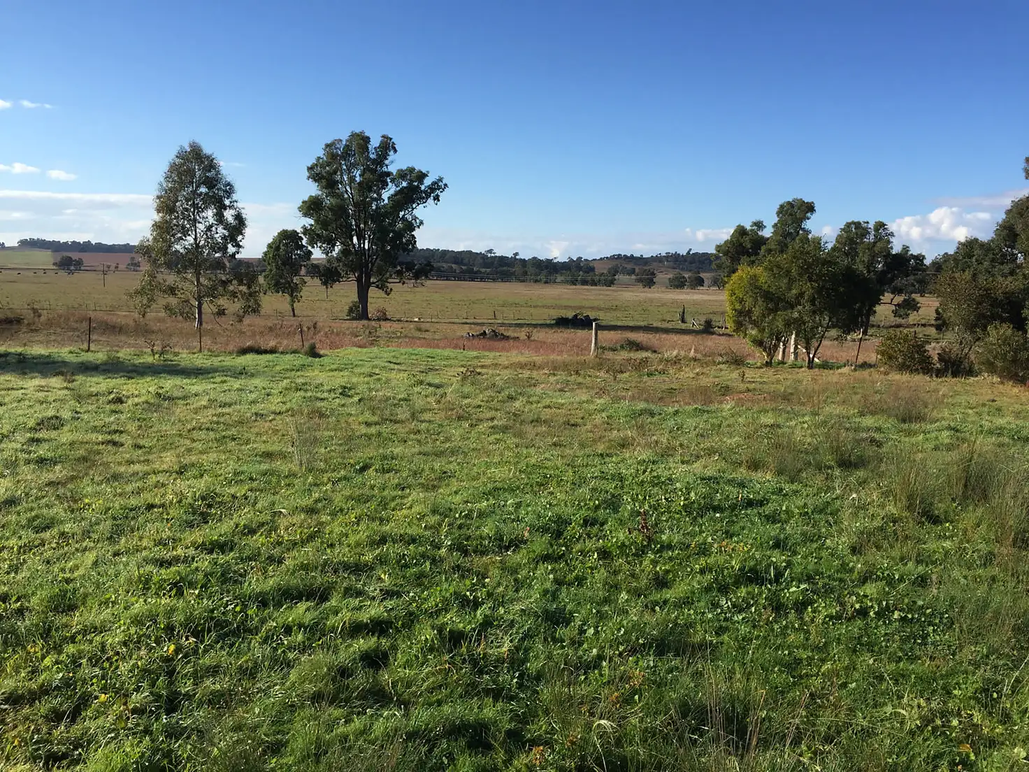 Main view of Homely land listing, 42 Suzanne Road, Mudgee NSW 2850