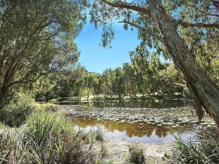 Second view of Homely house listing, 60 Brushbox Drive, Mullumbimby Creek NSW 2482
