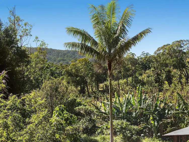 Fourth view of Homely house listing, 202 Palmwoods Road, Main Arm NSW 2482