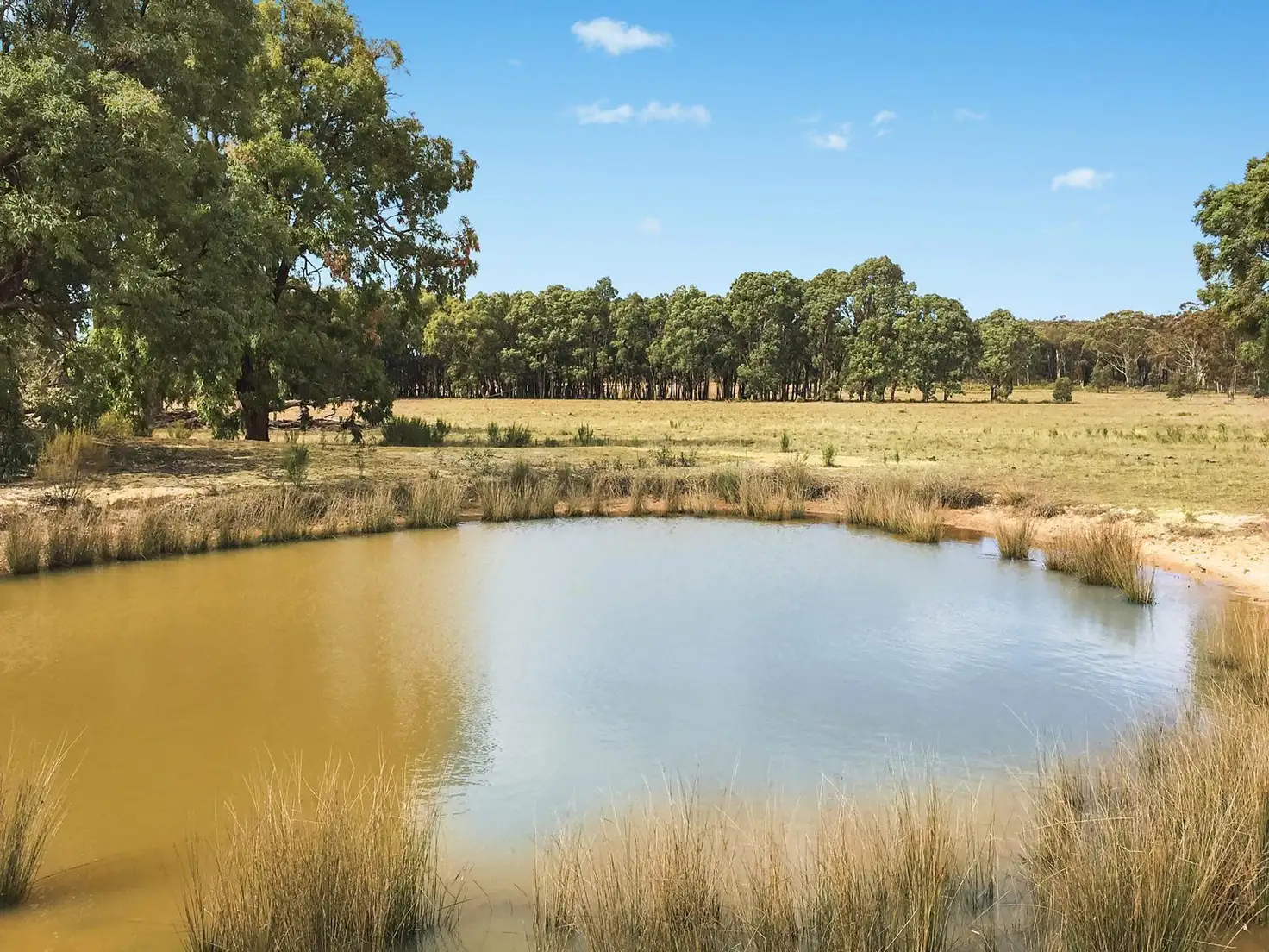 Main view of Homely rural property listing, 2 Suzanne Road, Mudgee NSW 2850