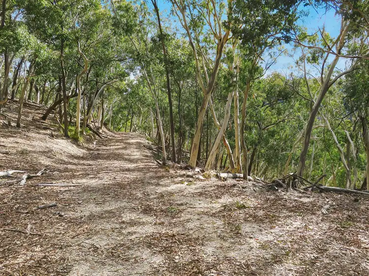 Third view of Homely rural property listing, 1092 Aarons Pass Road, Mudgee NSW 2850