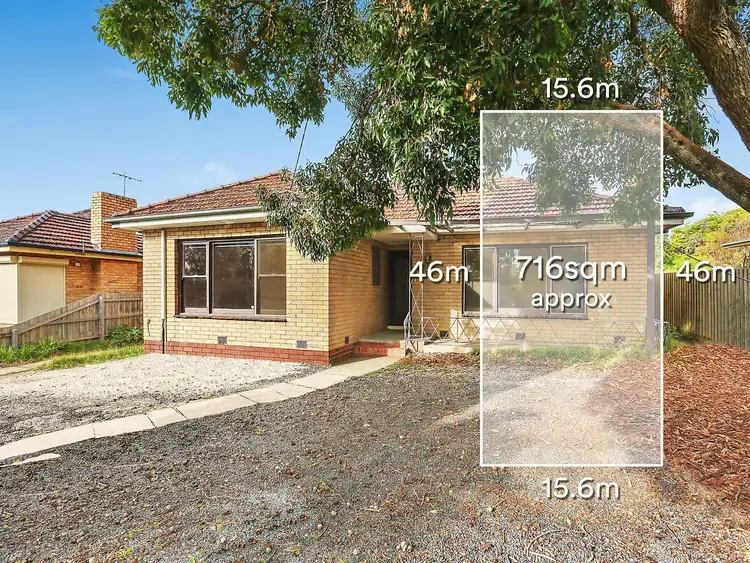 Main view of Homely house listing, 144 Middleborough Road, Blackburn South VIC 3130
