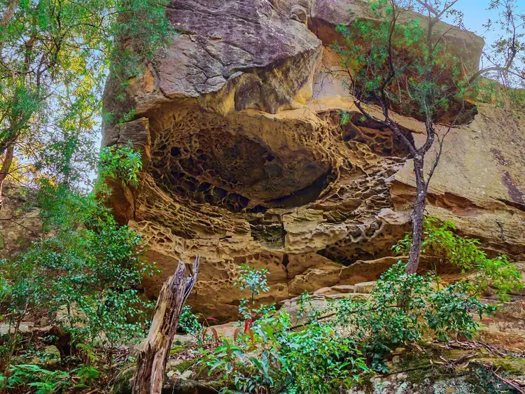 Second view of Homely land listing, 136 Reeves Street, Narara NSW 2250