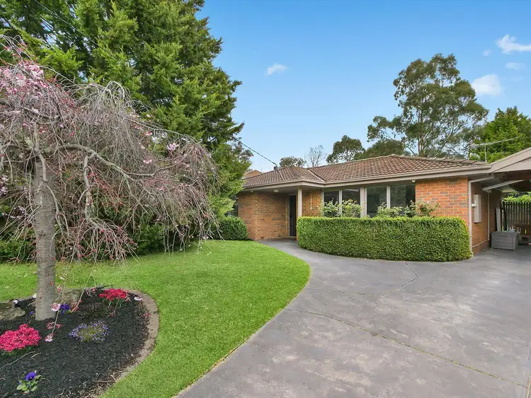 Main view of Homely house listing, 13 Ambon Rise, Croydon North VIC 3136
