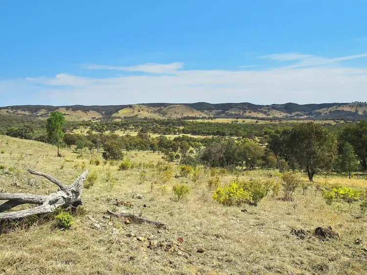 Main view of Homely rural property listing, 222 Pyramul Road, Mudgee NSW 2850