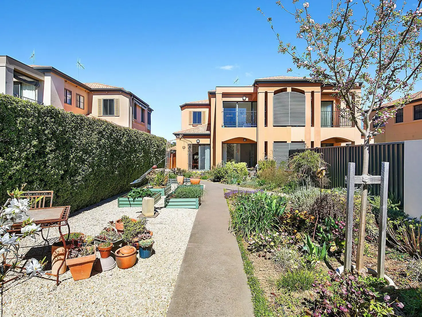 Main view of Homely townhouse listing, 12/21 Krantzcke Circuit, Nicholls ACT 2913