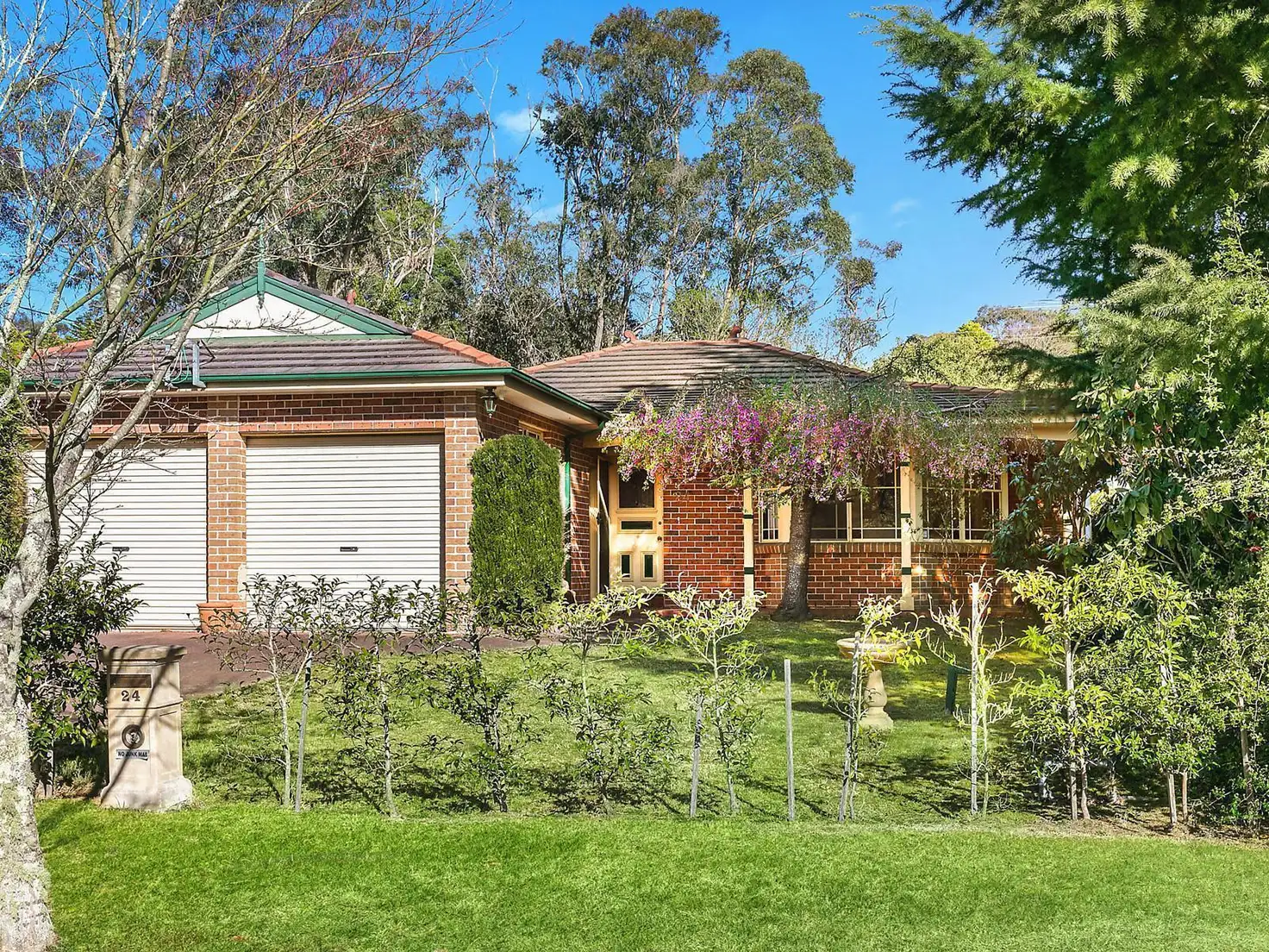 Main view of Homely house listing, 24 David Street, Wentworth Falls NSW 2782