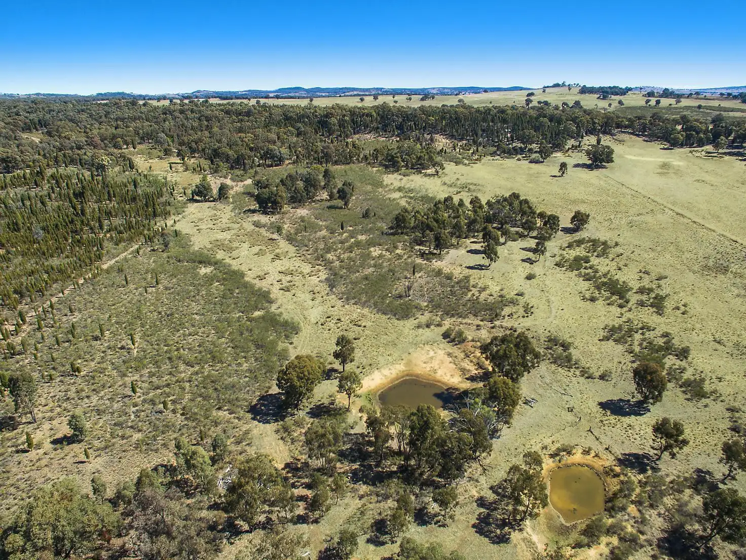 Main view of Homely rural property listing, 1758 Spring Ridge Road, Mudgee NSW 2850